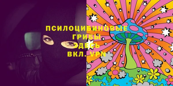 молекула духа Алексеевка