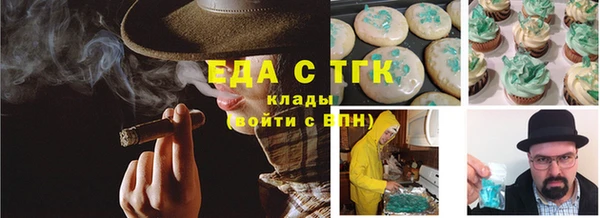тгк Абаза