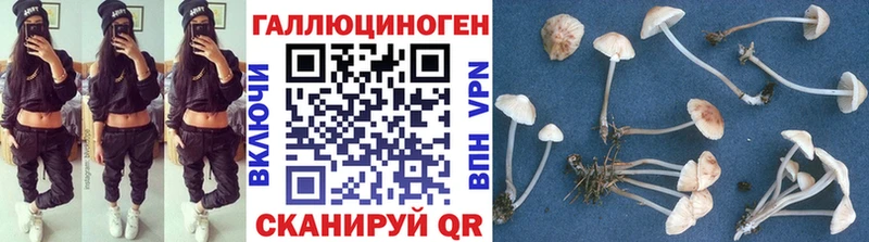 Галлюциногенные грибы Cubensis Калачинск